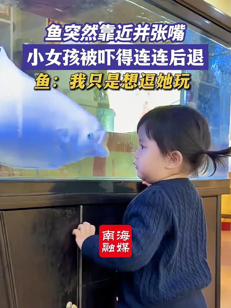 鱼突然靠近并张嘴,小女孩被吓得连连后退,鱼:我只是想逗逗她玩。(来源:@是西米呀 编辑:阿