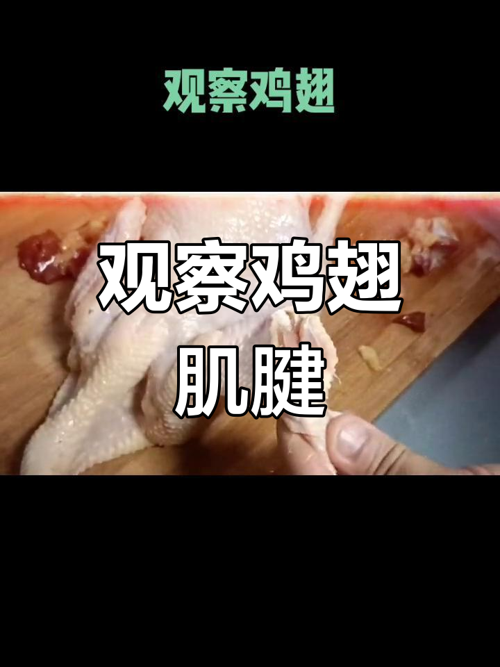鸡翅肌肉结构解析