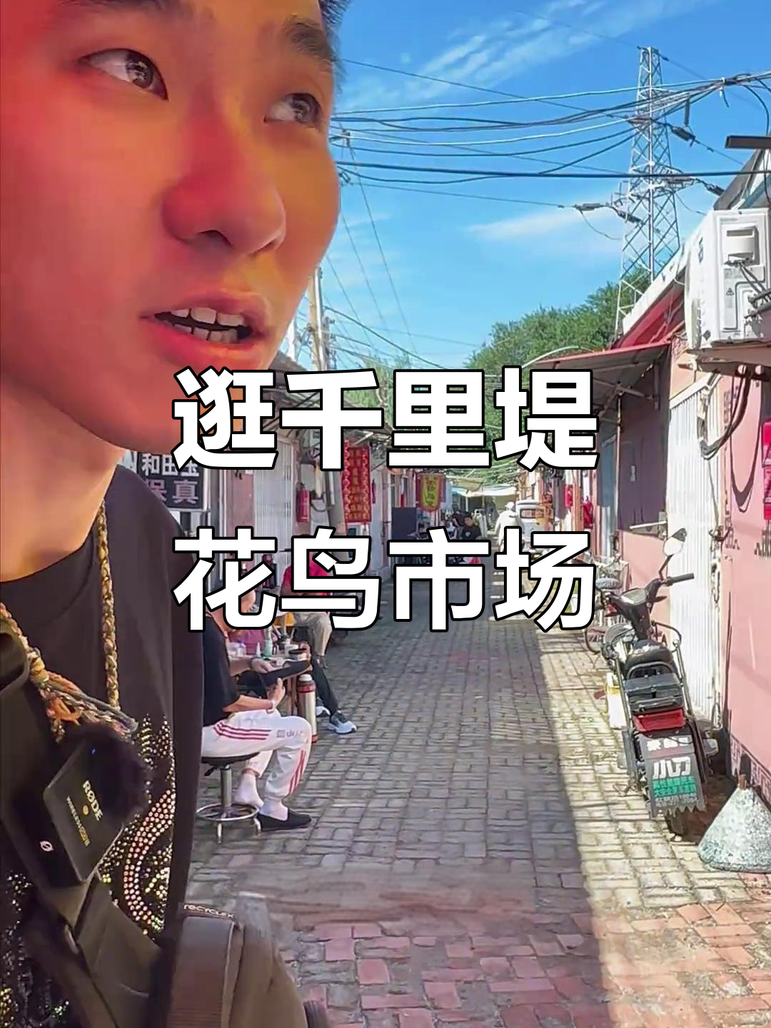 千里堤花鸟市场大揭秘,蛐蛐、鸣虫葫芦全都有