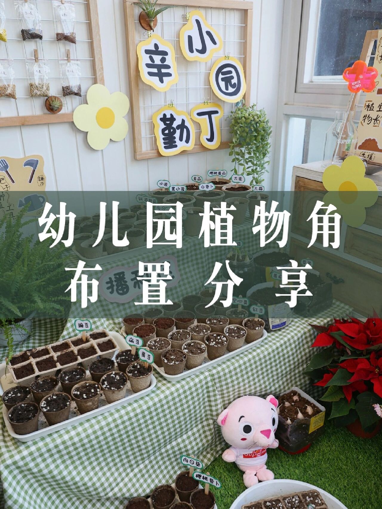幼儿园环创植物角布置分享～