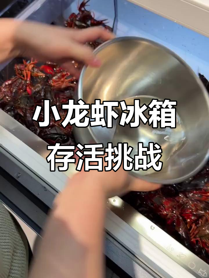 2004年与老婆打赌:小龙虾放冰箱15天能活几只?