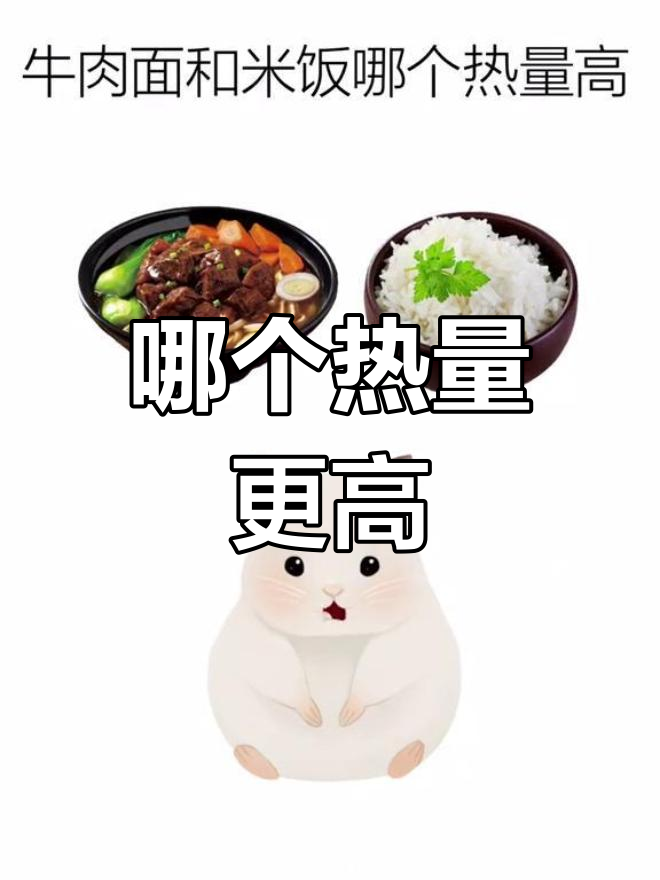 牛肉面与米饭的热量对比
