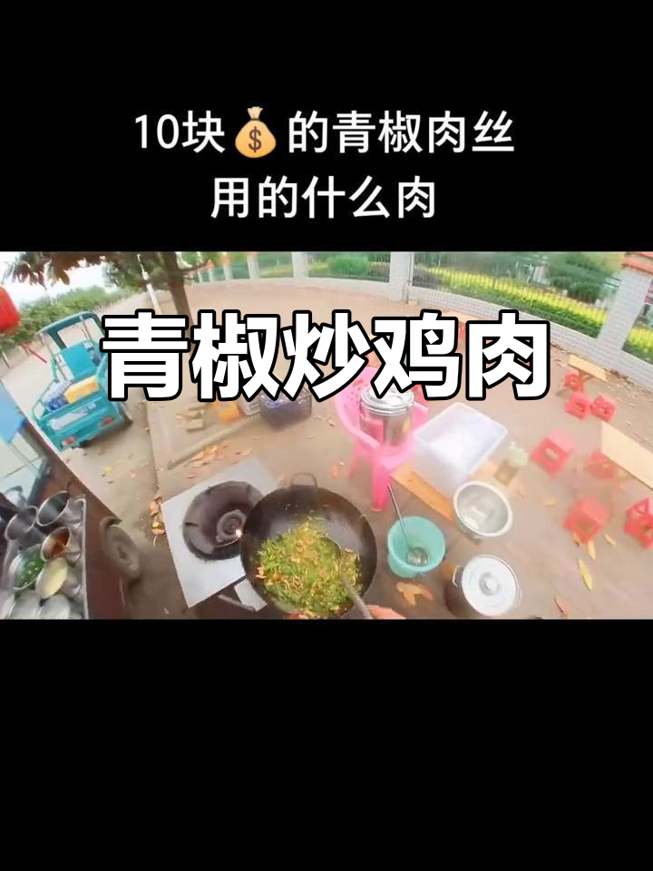 青椒肉丝的秘密:用的是鸡脯肉,摆摊必备!