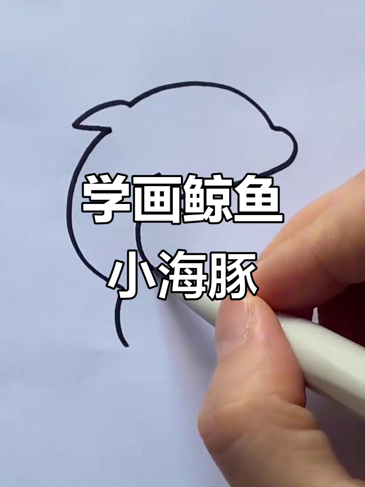 轻松学画鲸鱼和小海豚,简单又有趣