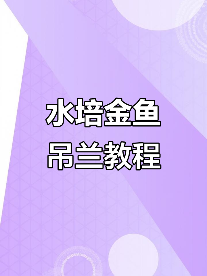 金鱼吊兰水培技巧,快速生根步骤全解析