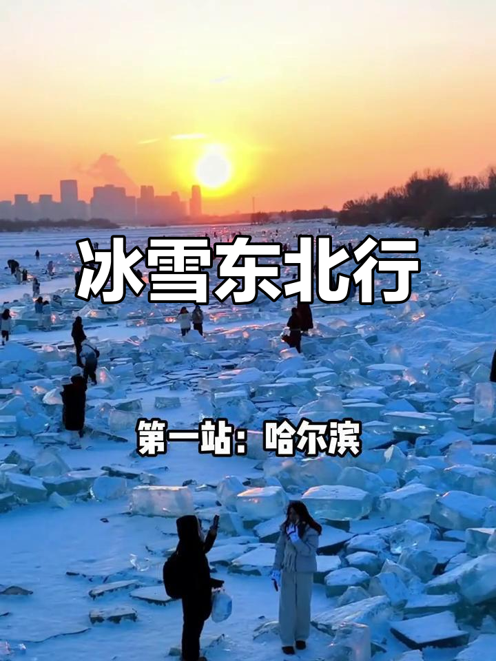 12月冬季东北游,哈尔滨到漠河全攻略!