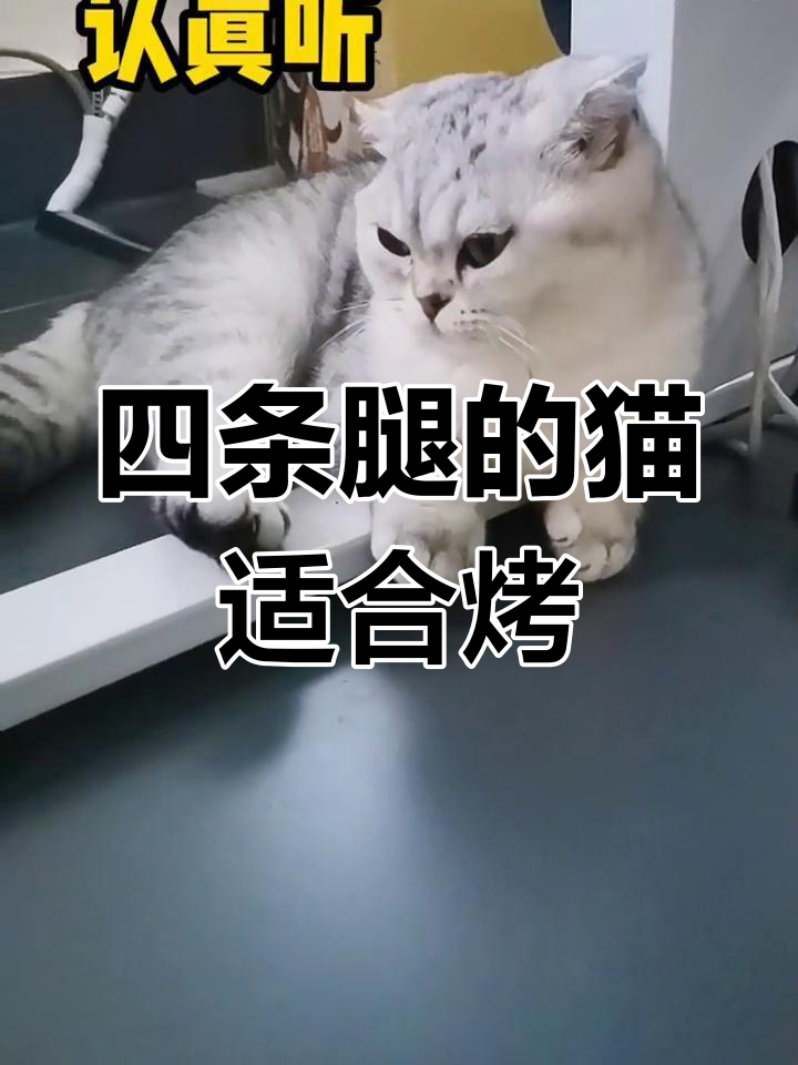 猫肉烧烤好吃,三条腿更美味