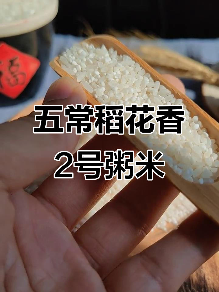 五常稻花香2号粥米:油性足,软糯香甜,甘味十足