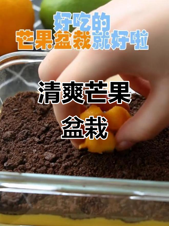 芒果酸奶盆栽,清凉一夏必备!