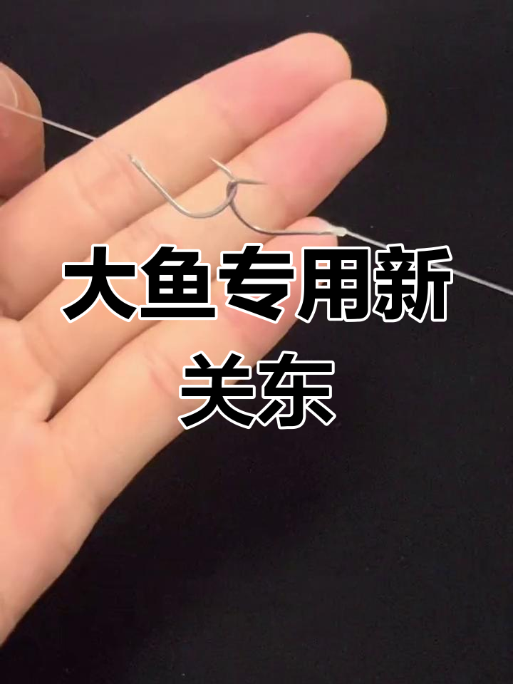 新关东钩:大鲤鱼与鲢鳙钓鱼必备