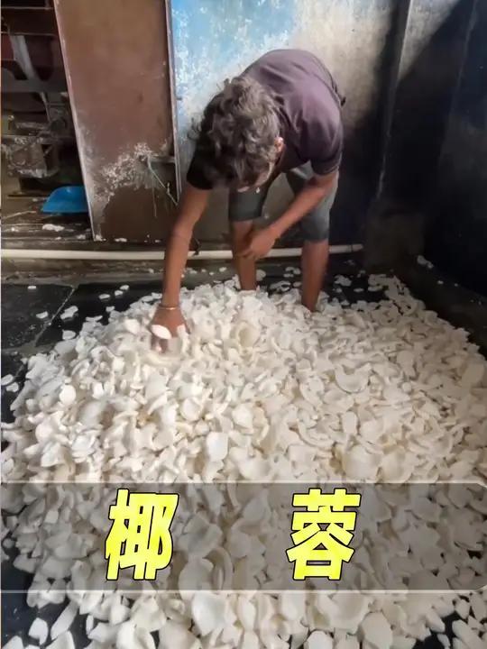 印度椰蓉制作流程,不想吃椰蓉了 印度美食 印度街头小吃 椰蓉