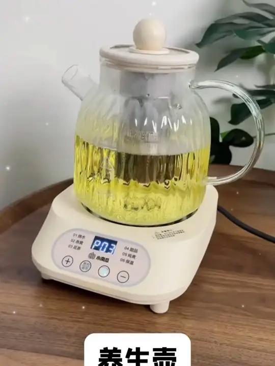爆款全自动喷淋式煮茶器家用大容量玻璃养生壶泡煮茶保温茶具炉器