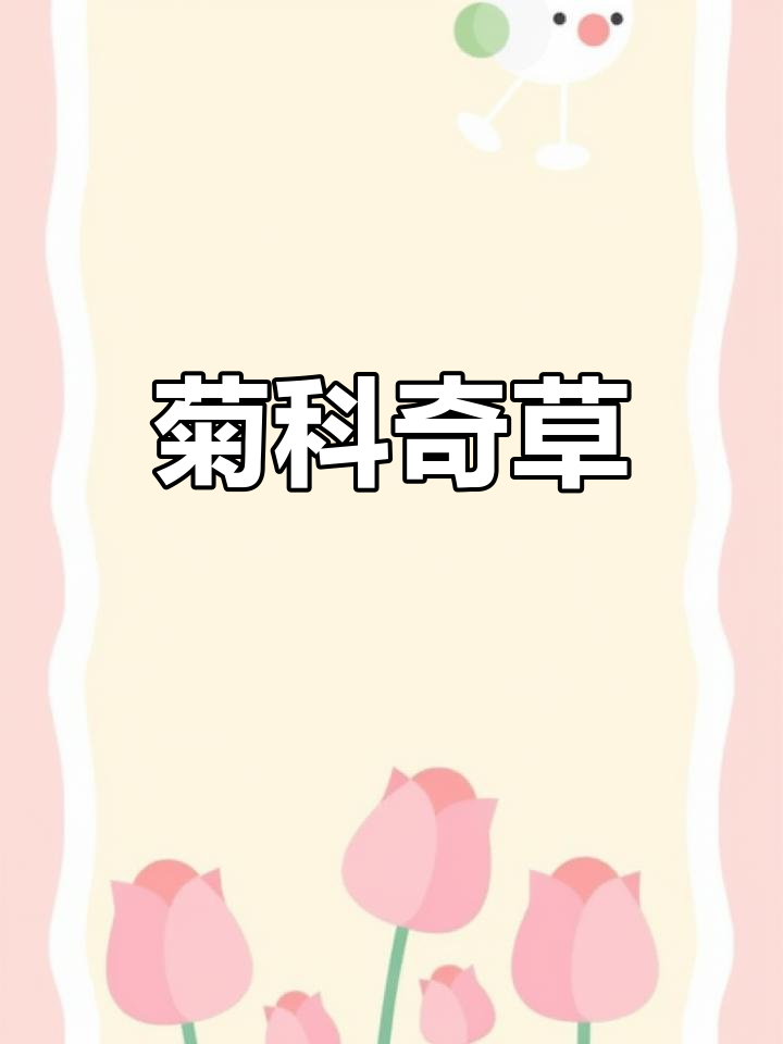 这种黄色小菊花,既是猫耳又可入药,功效多样