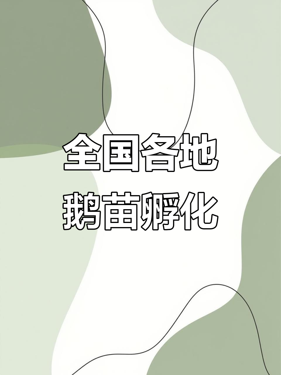 广西、广东等地鹅苗孵化场,专车专线送往全国