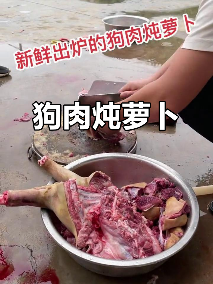 农村真实生活日常:狗肉炖萝卜,味道鲜美