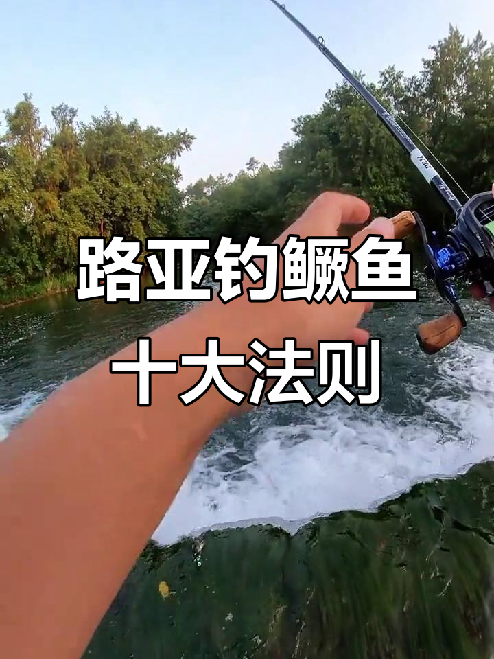 路亚钓鳜鱼技巧:10个操作手法让你连杆不断