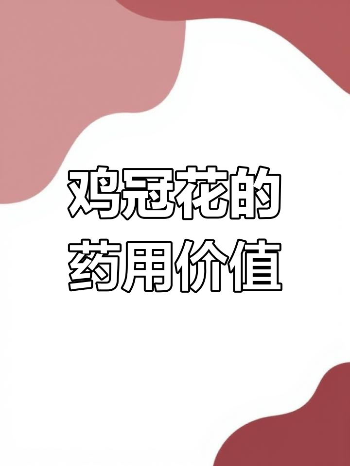 鸡冠花:美丽与药用的完美结合,种子煮水治痔疮