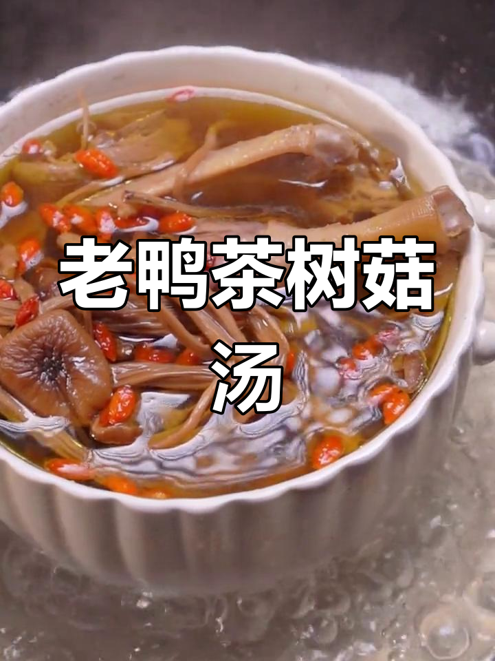 茶树菇老鸭汤,营养满满的滋补美味