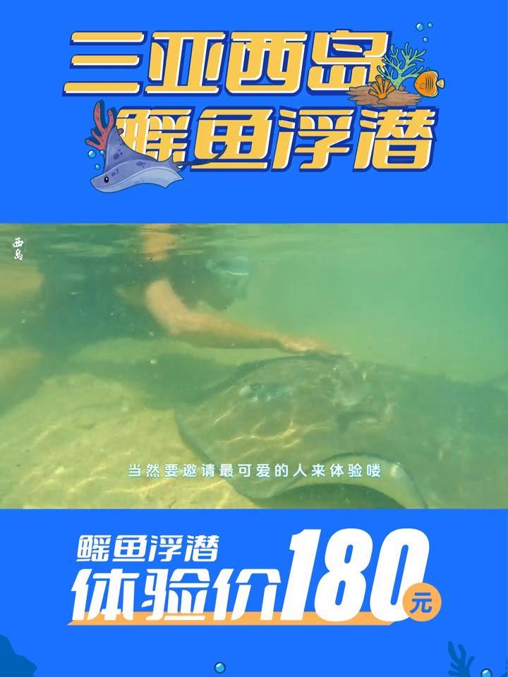 西岛浮潜新体验,近距离观赏鳐鱼奇观!西岛 浮潜 鳐鱼 魔鬼鱼 三亚旅游攻略
