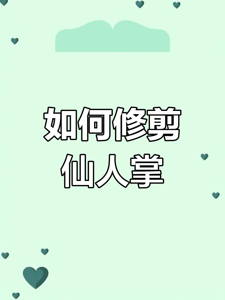 仙人掌养护技巧:如何修剪千手观音,避免养分浪费