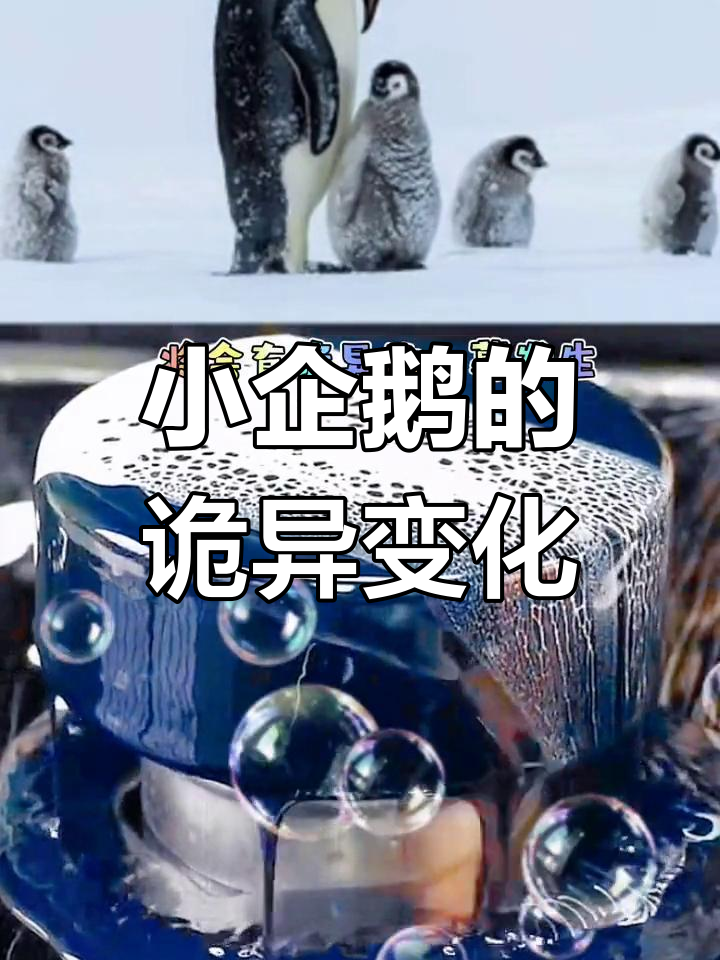 恐怖小企鹅背后的秘密
