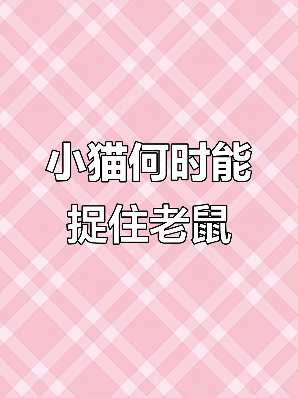 小猫追老鼠,刻度差如何变化?数学题解密