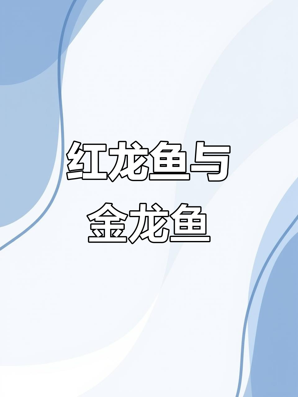 康龍红龙鱼:潜藏的神秘力量,金龙鱼的魅力展现