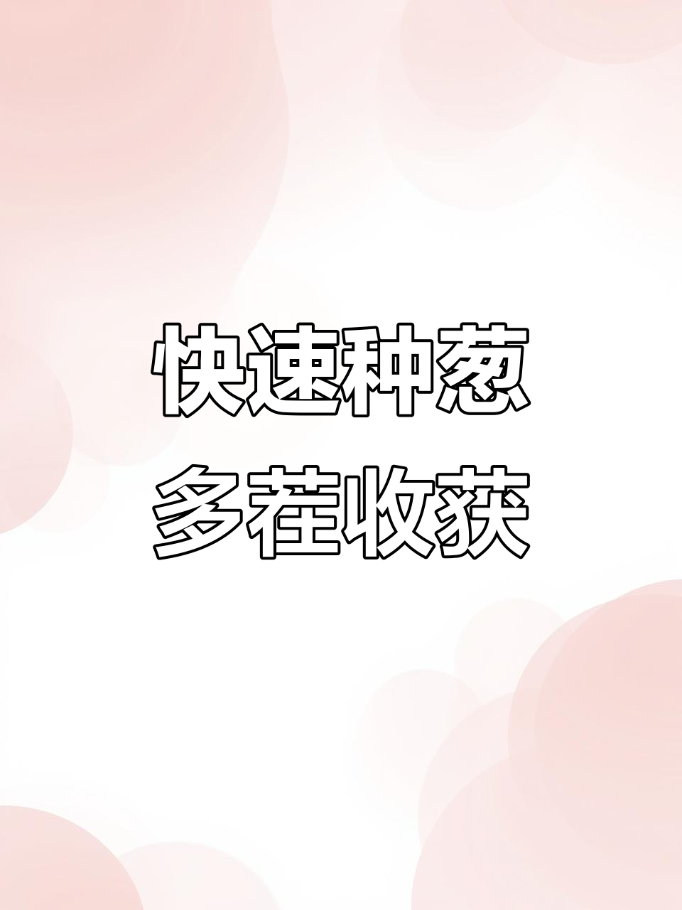家庭盆栽香葱种植技巧,轻松搞定多茬采收