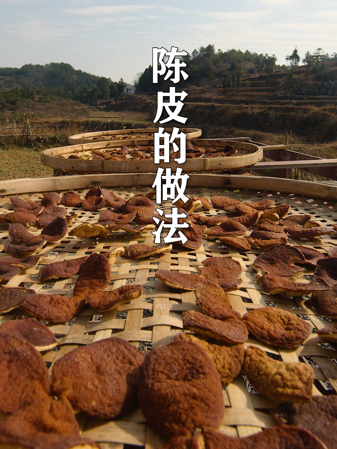 陈皮这样晒才是宝,做香料或泡茶都特别好