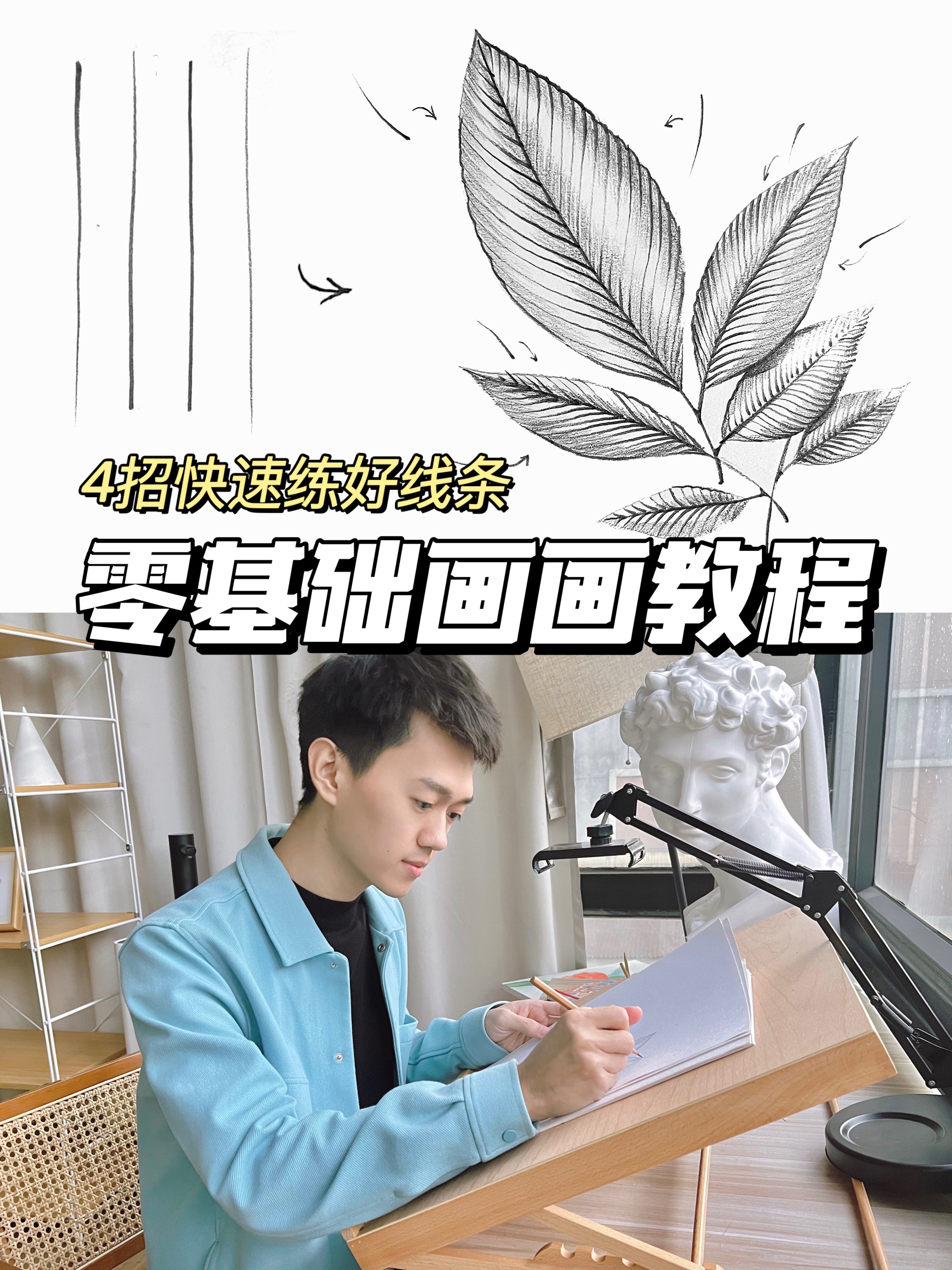 新手学画画必学的4种线条画法,建议收藏!
