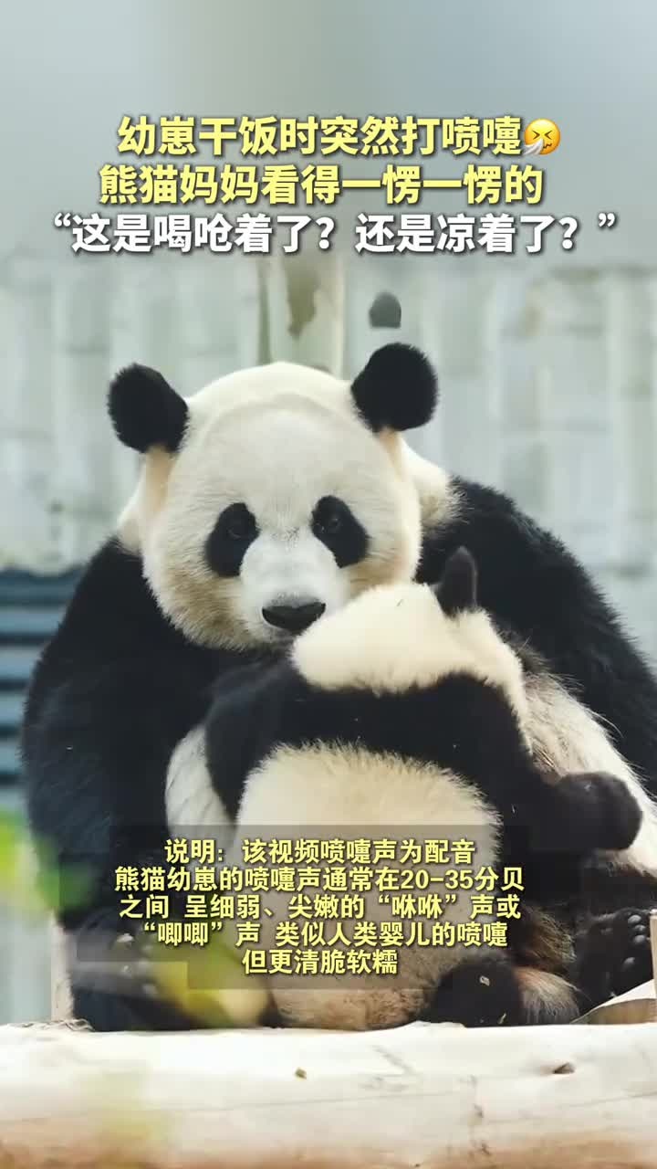 小飞机干饭时突然打喷嚏,珍喜妈妈立即开启母爱凝视模式:孩子,这是喝呛着了?还是凉着了?网友