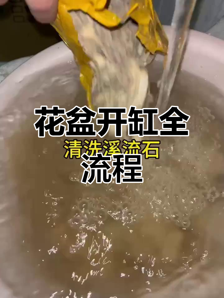火山石与溪流造景，打造古法花盆鱼缸