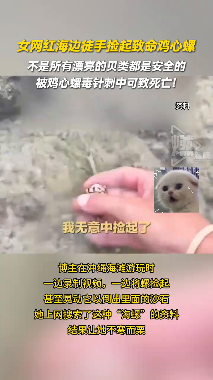 女网红海边徒手捡起致命鸡心螺,被鸡心螺毒针刺中可致死亡