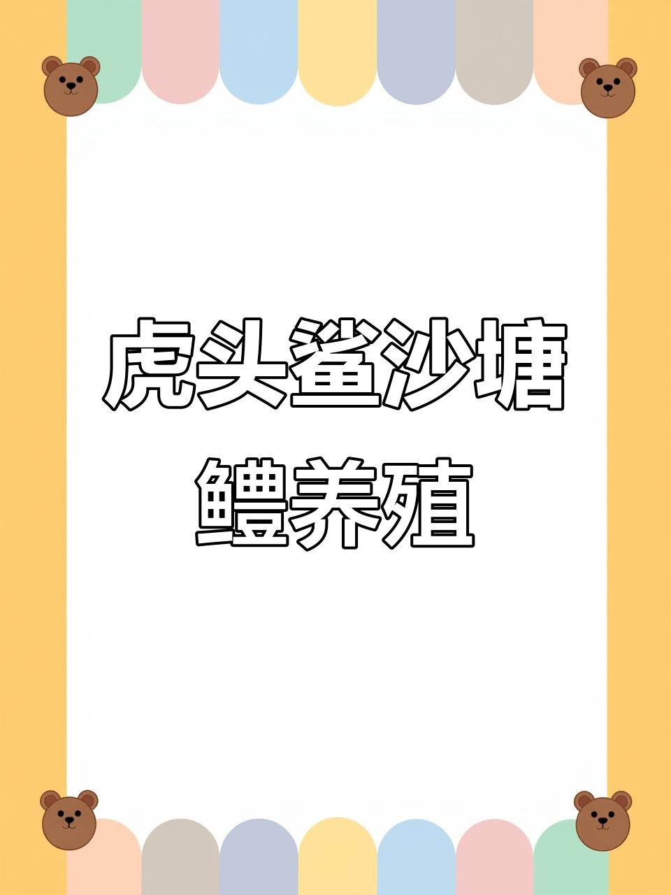 虎头鲨与呆子鱼养殖揭秘,市场价格超100元一斤