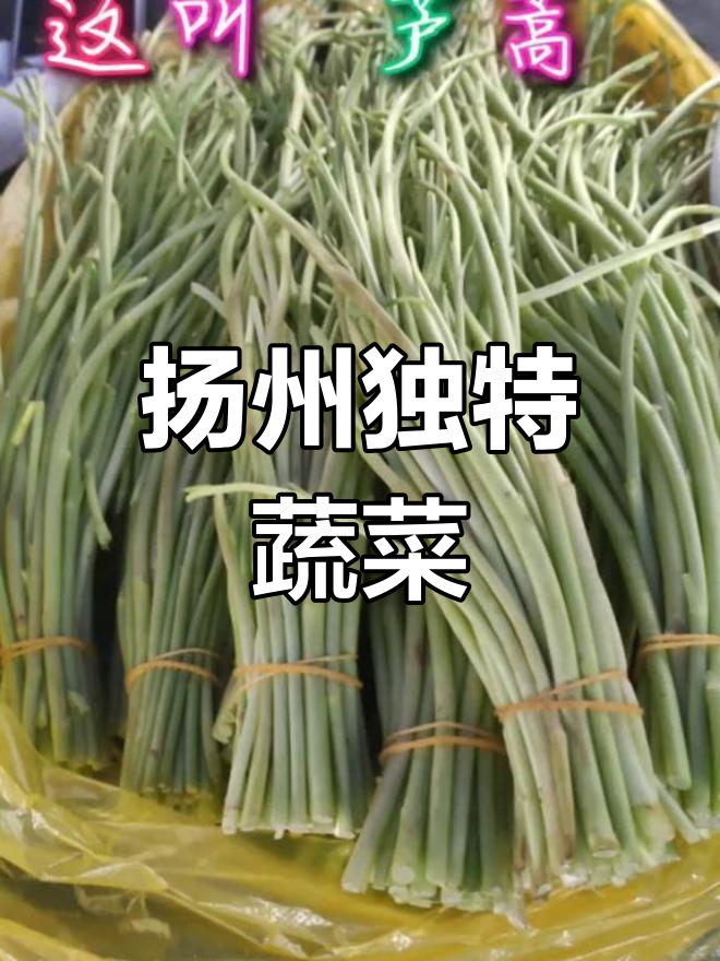 扬州特色蔬菜,北方难得一见