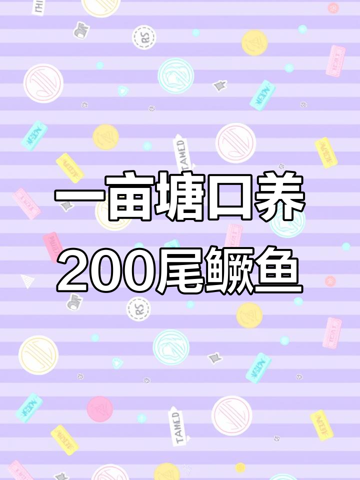 鳜鱼苗养殖技巧:一亩塘口可套养200尾,清理小鱼小虾轻松搞定