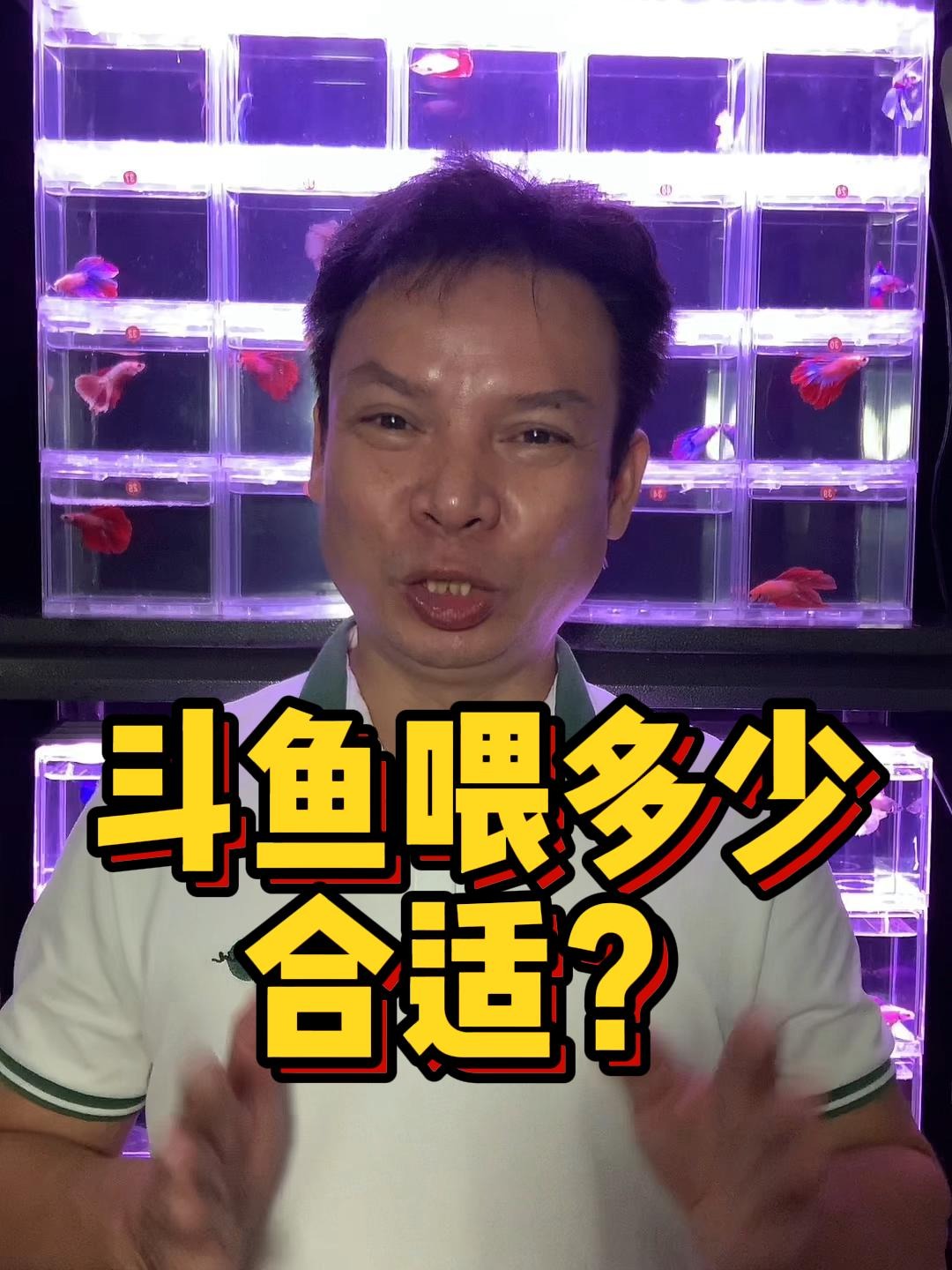 新手养泰国半月斗鱼每天喂多少饲料合适?