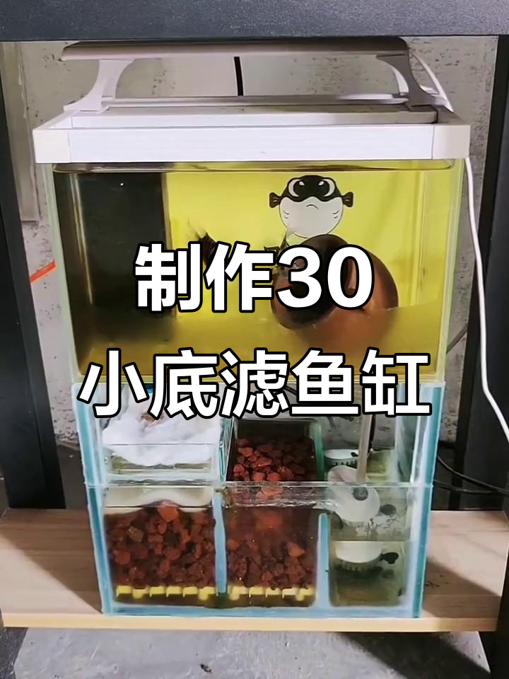 自制30小底滤鱼缸全攻略,打造完美水族环境