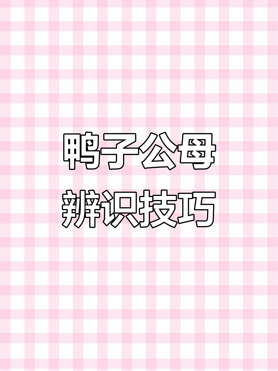 小鸭子公母怎么分辨?教你几招轻松辨别