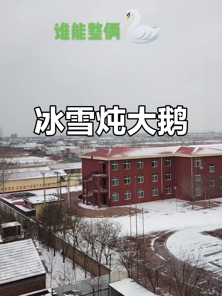 雪落如银,冰河煮鹅,铁锅炖美味等你来尝!