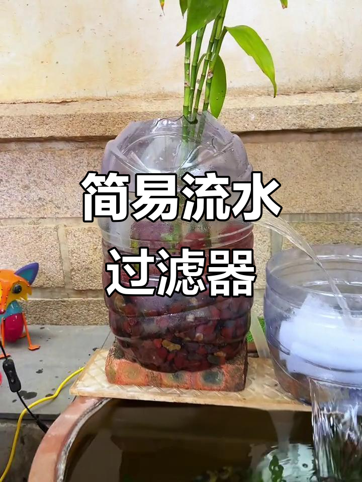 用矿泉水瓶轻松打造鱼缸过滤系统,省时又高效!