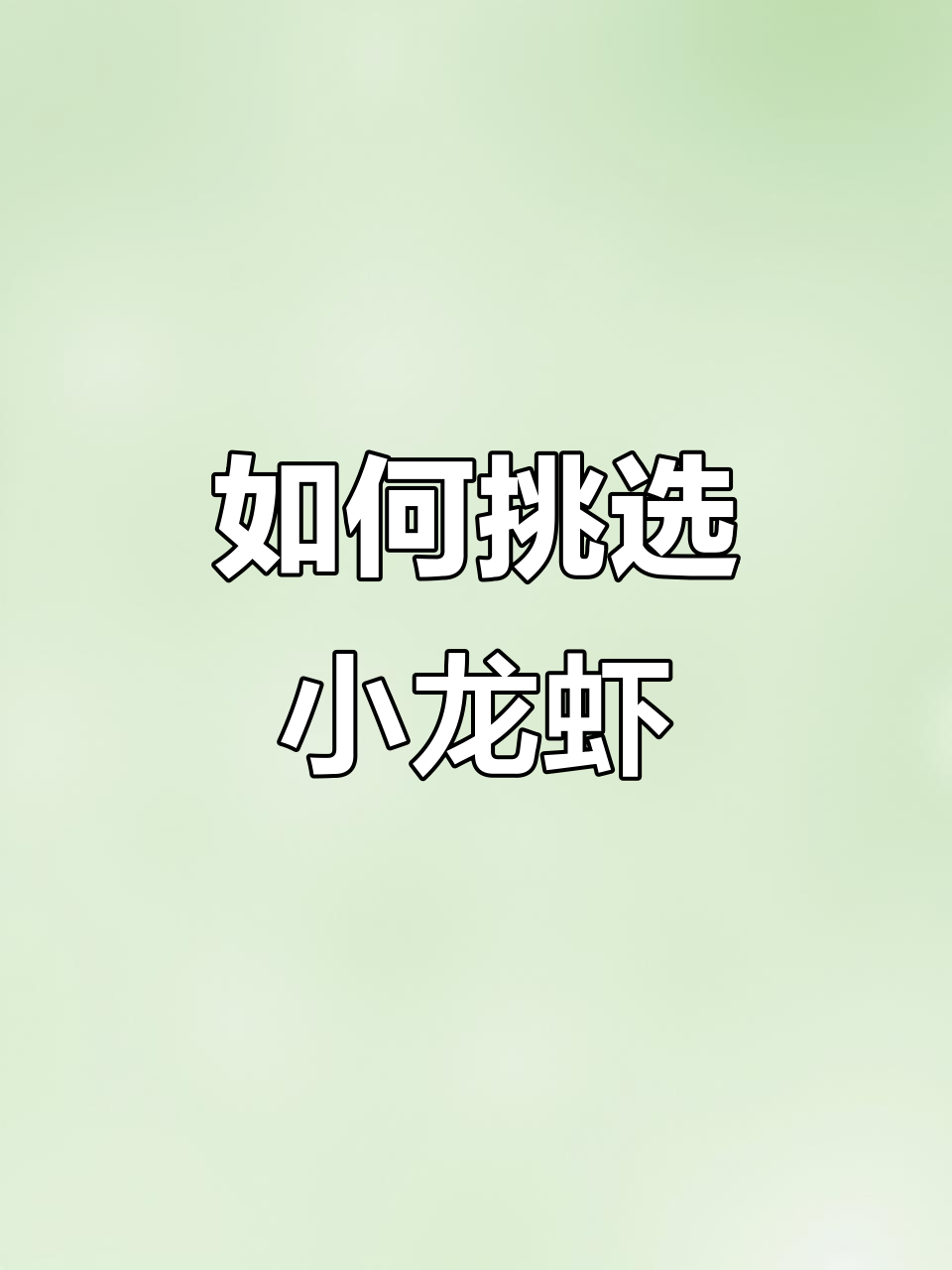 小龙虾选购技巧大揭秘,选对品种才能吃到正宗美味