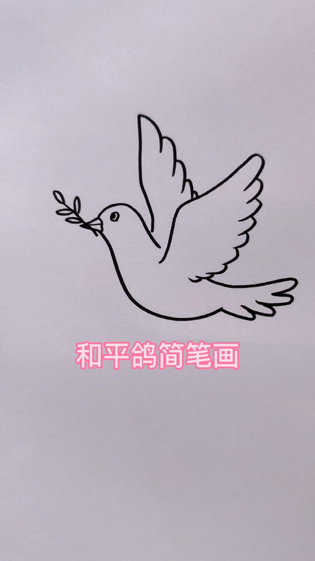 和平鸽简笔画
