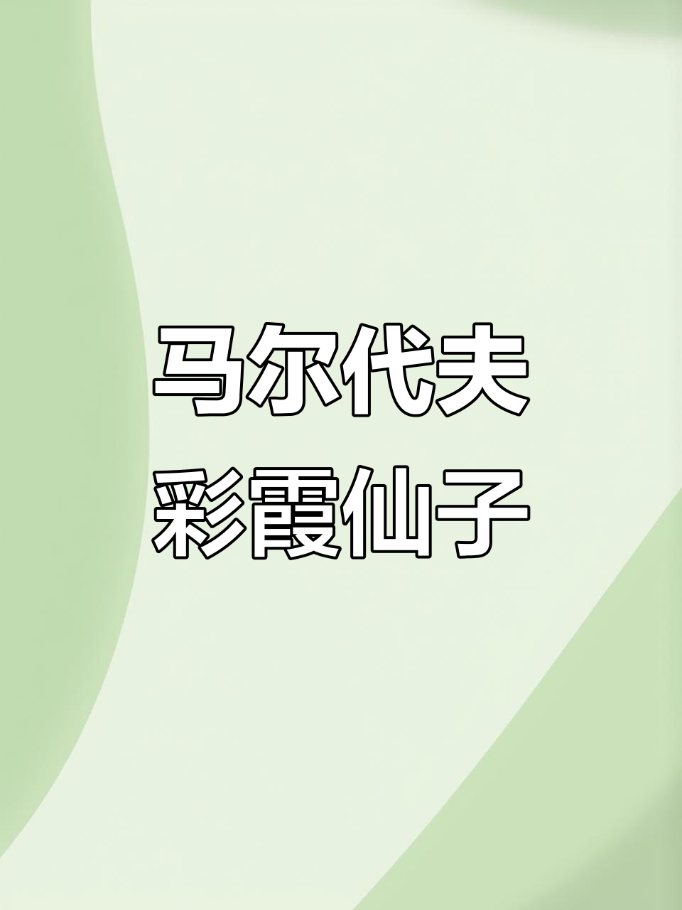 彩霞仙子鱼:马尔代夫的美丽奇观