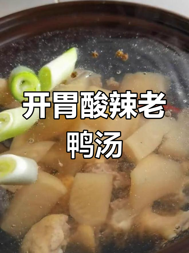 酸爽老鸭汤,简单又开胃,砂锅炖出满满食欲