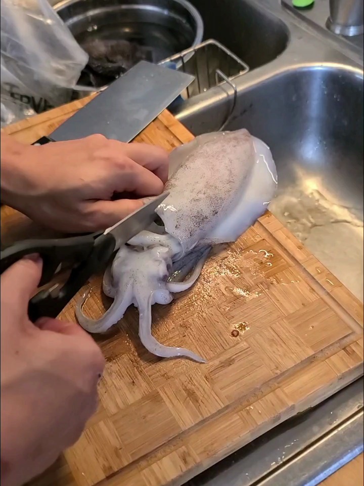跟着大厨学习处理清洁墨鱼