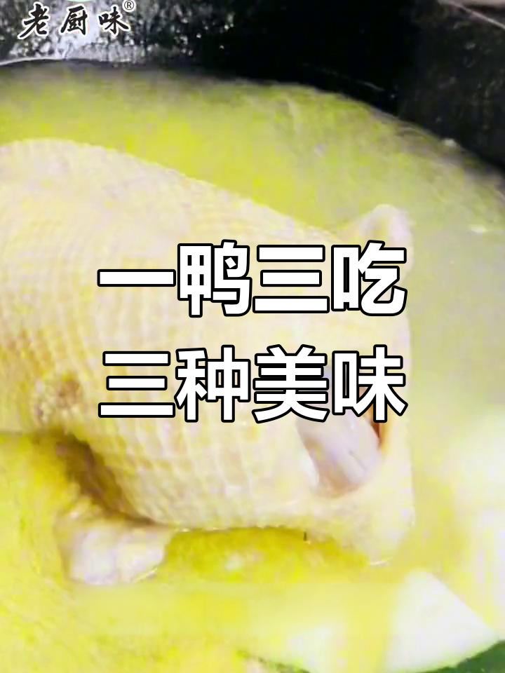 琼海加积鸭三种口味,冬瓜老鸭汤清补佳选