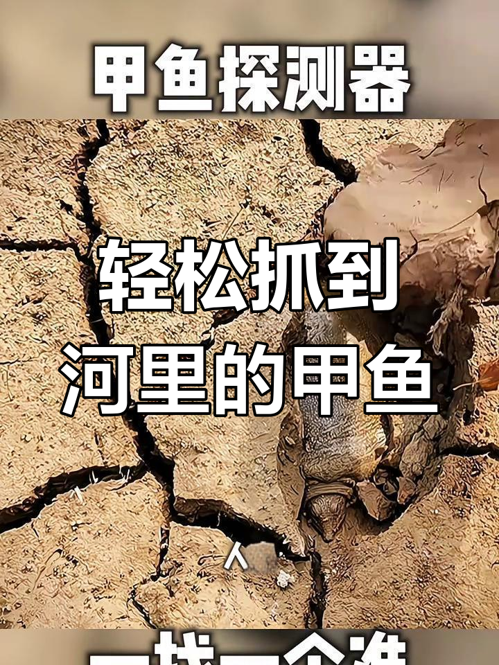 专业抓甲鱼,河里藏匿技巧