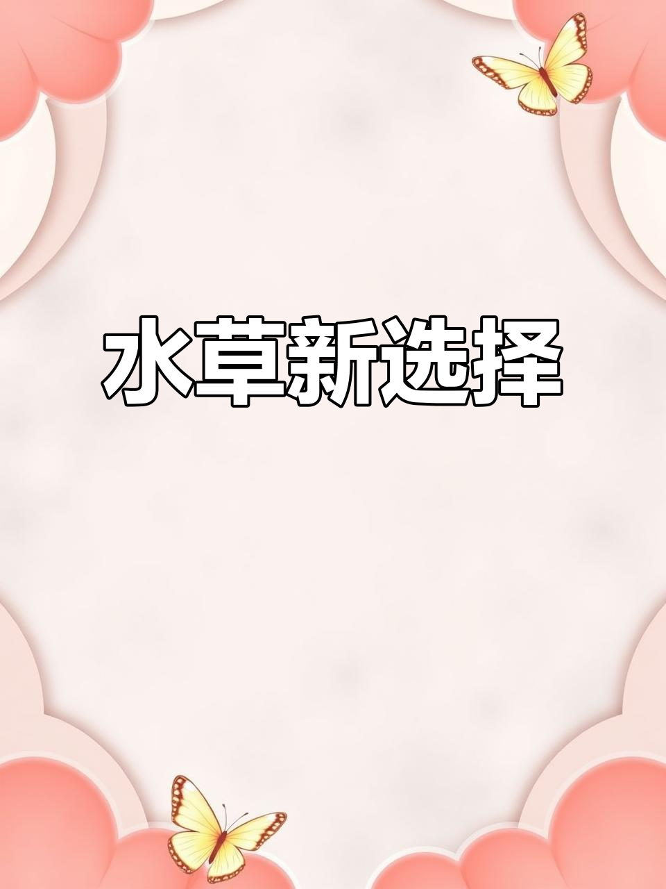 这款水草轻松种植,净化水质又增氧,适合新手鱼缸装饰