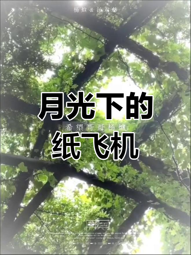 纸飞机有12种折法,月色如诗